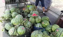 凉山吃瓜爆料事件真相