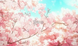 动漫樱花网,盘点热门作品与经典瞬间