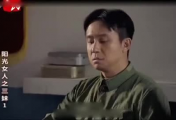 论理视频,揭示逻辑思维的艺术与技巧